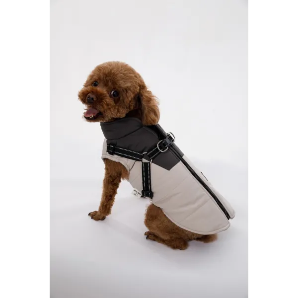 KURTKA DLA PSA ciepła wodoodporna kamizelka z szelkami szary M ROXI 2