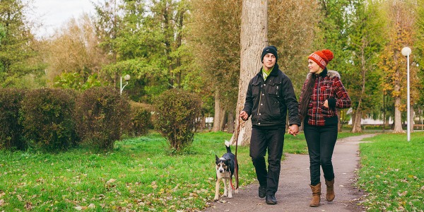 Jak długo powinien trwać spacer z psem? Złote zasady, o których musisz wiedzieć