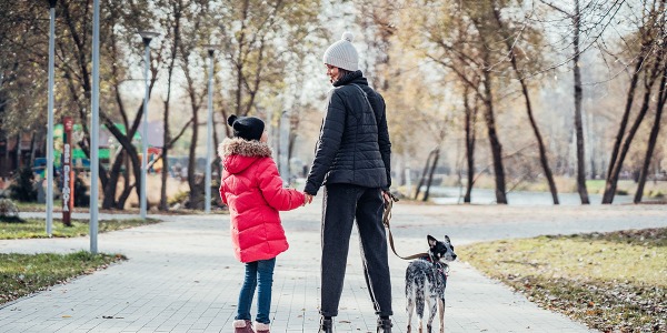 Jak przygotować psa do długiego spaceru w mieście? Kompleksowy poradnik opiekuna
